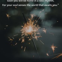 What are your feelings trying to tell you?